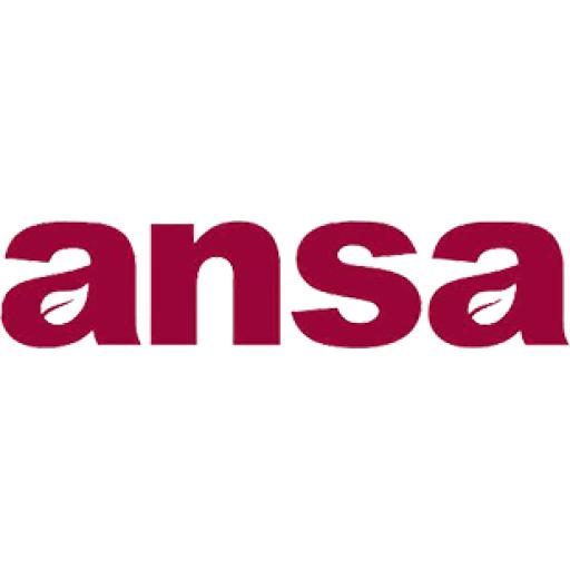 ansa-logo-trans-bng-309x70px.png